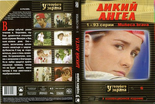 Перевод песни дикий ангел на русском