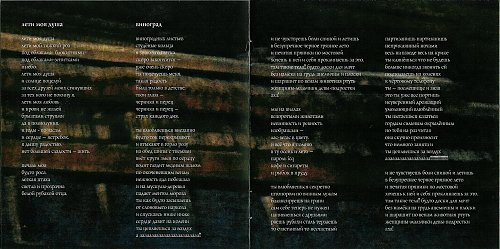 ночные снайперы 31 текст