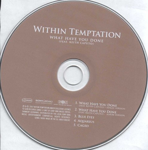 Within temptation what have you done