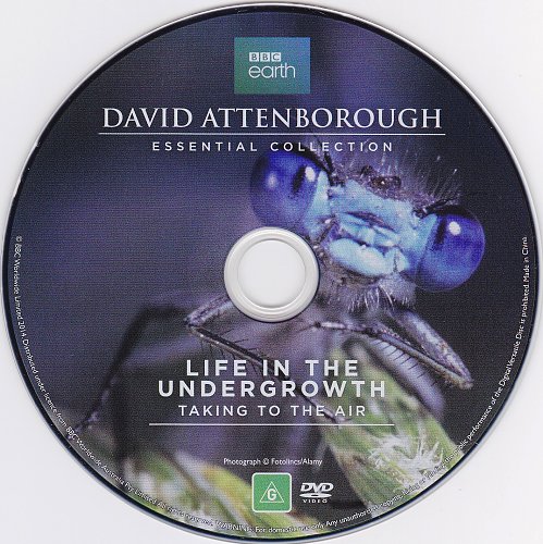 Bbc жизнь в микромире. Жизнь в микромире. Жизнь в микромире bbc 2 серия. Bbc жизнь в микромире. Жизнь в микромире.