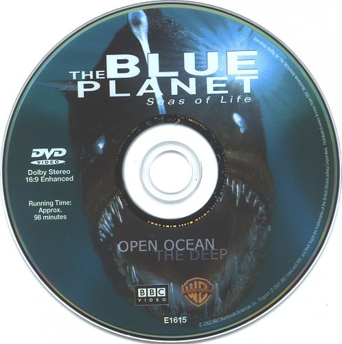 Rixos radamis blue planet отзывы. Диск Planet. Голубая Планета 2001. Обложки DVD дисков Планета. Кузьмин Живая коллекция DVD Cover.