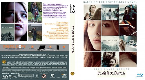 Can i stay перевод. Эстетика фильма что если я останусь. DVD диск если я останусь. Чеки от фильма если я останусь. Если я останусь 1 песня.